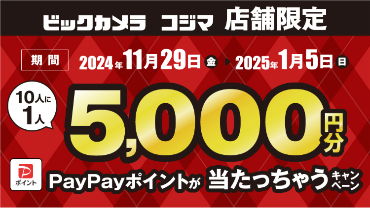 【10人に1人】5,000円分Pay Payポイントが当たっちゃうキャンペーン！:イメージ